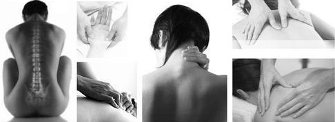 physio-collage-480x148